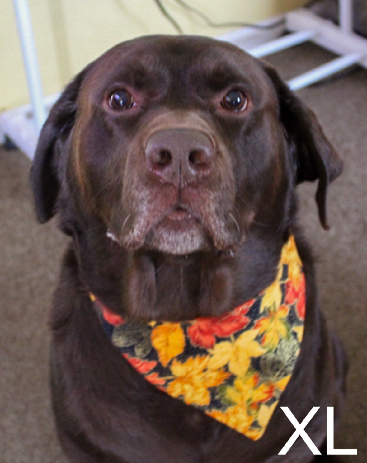 MTO (made to order) Stretch-On Bandana